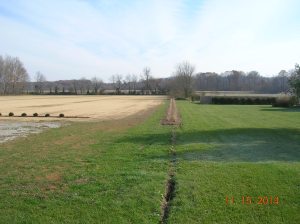 T'ship Field Hedge & Grass